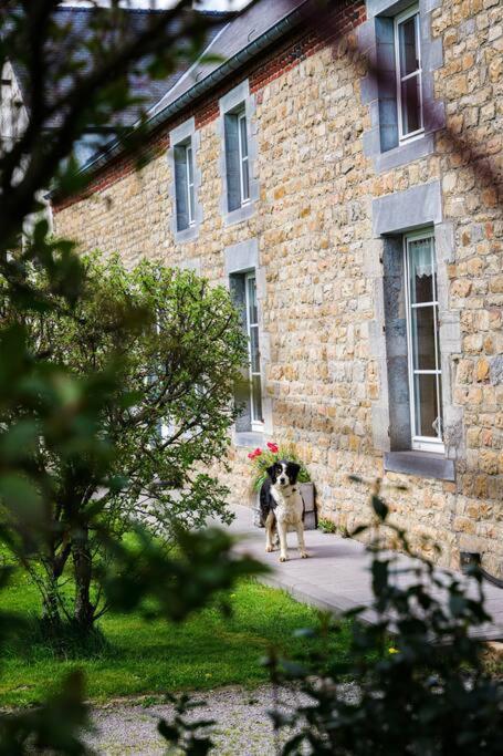 Gite La Dame Au Lit Gite A La Ferme Momignies Exterior foto